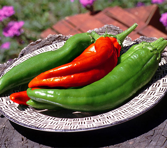 chile-plate Plate of fresh red and green chile