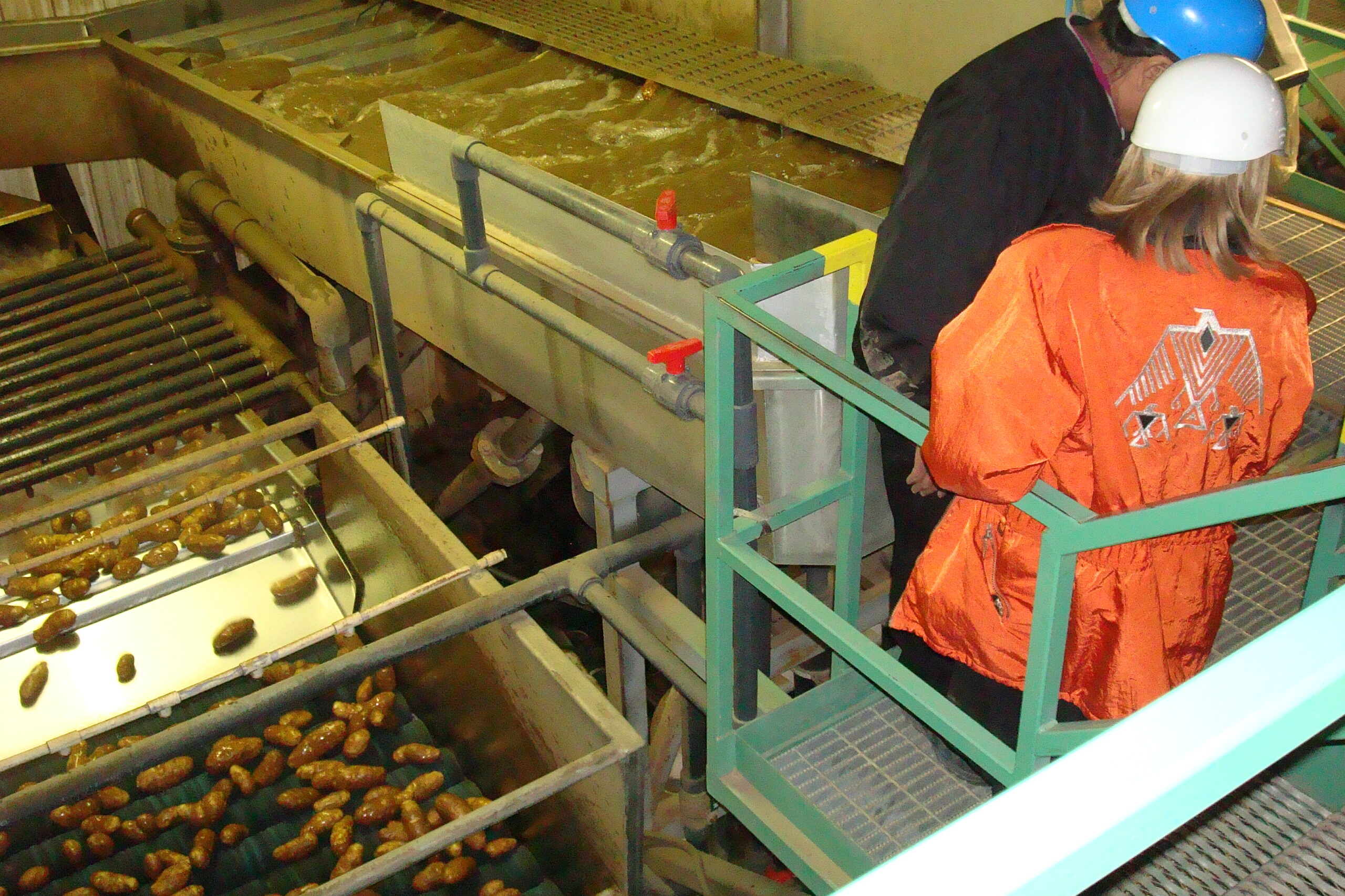 workers in a manufacturing plant